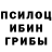 Псилоцибиновые грибы мухоморы forf dube