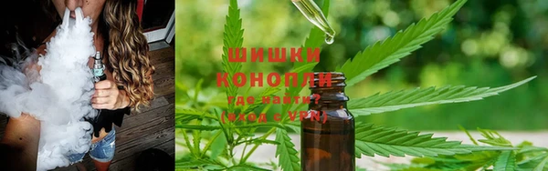 гашик Сосновоборск